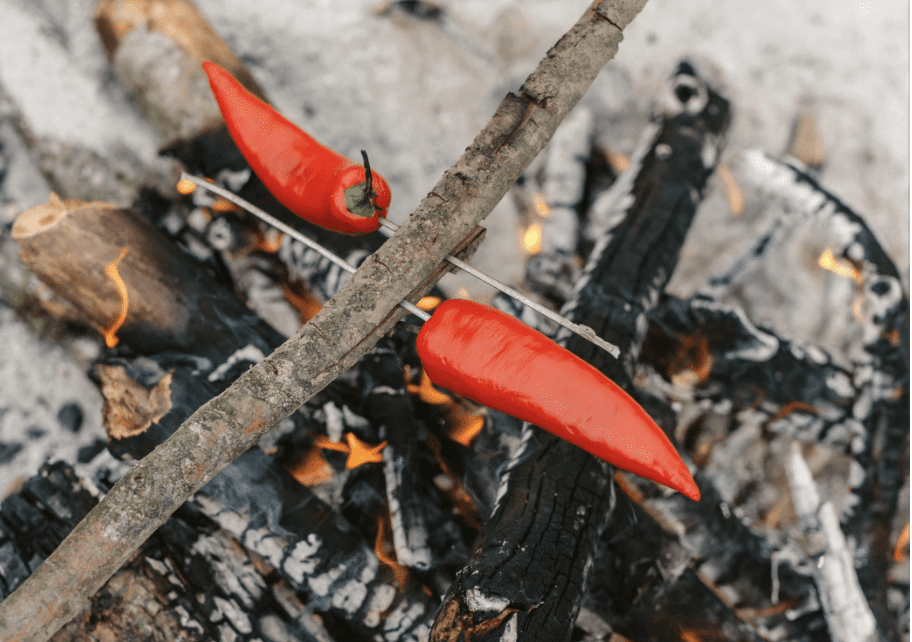 Grilled Chili in a Camp Fire