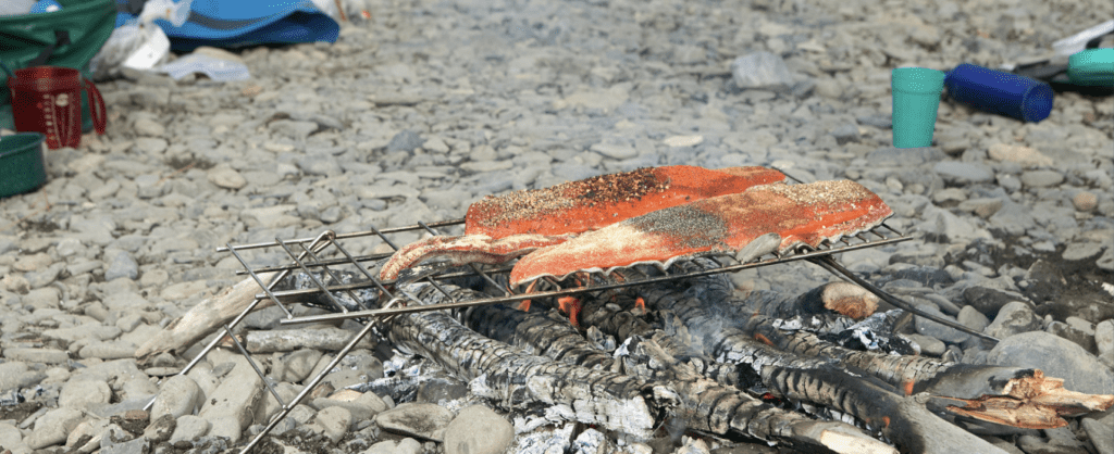 Salmon fillets grilling on hot campfire coals