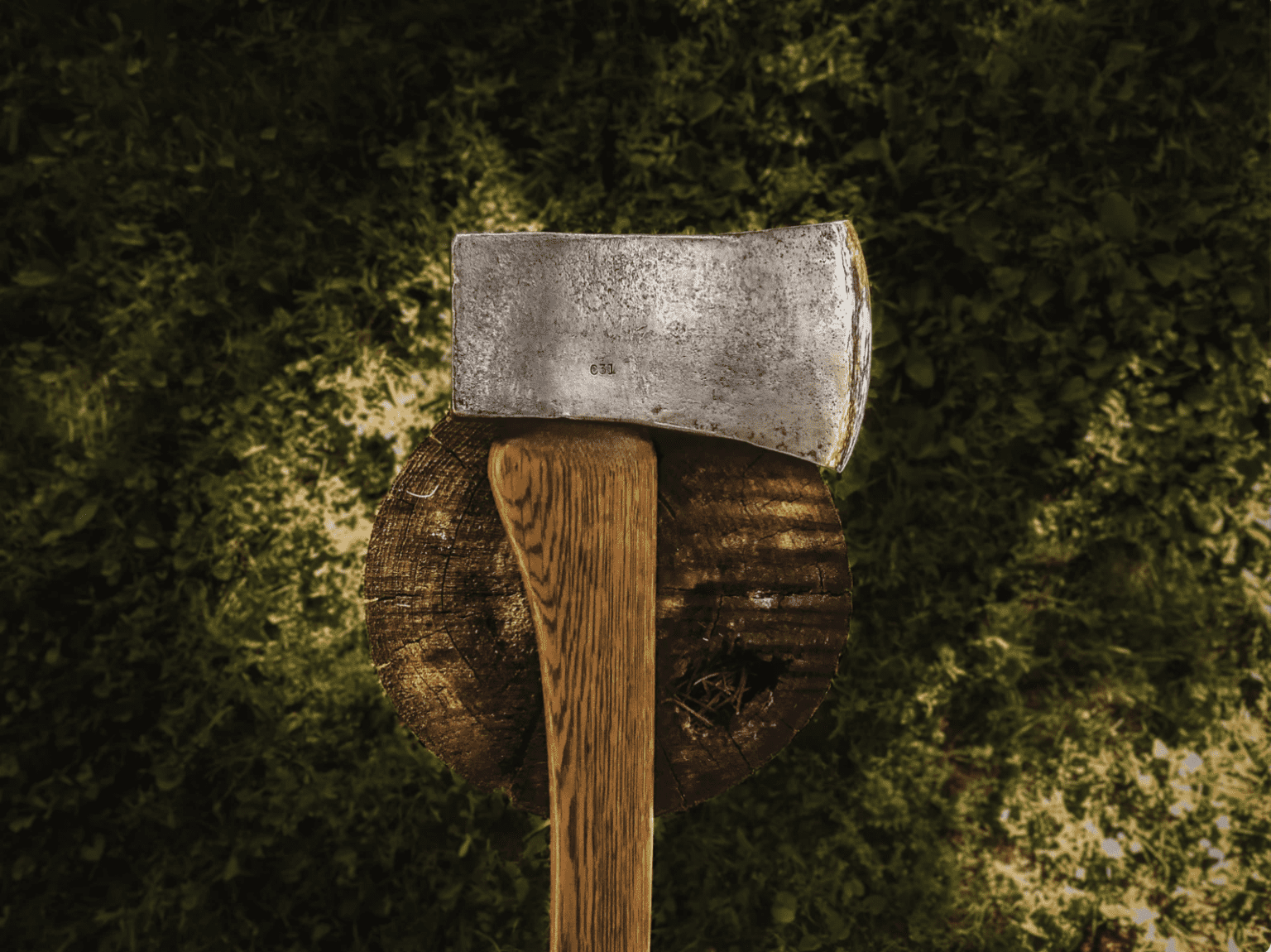 The Best Hatchet vs Machete for Camping laienhaft