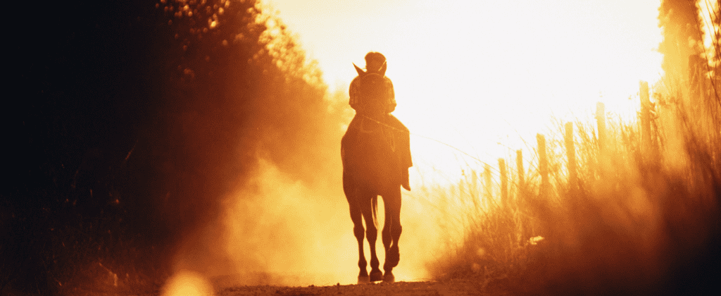 equestrian riding horse in countryside during sunset