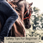 Safety Tips For Beginner Equestrian Campers