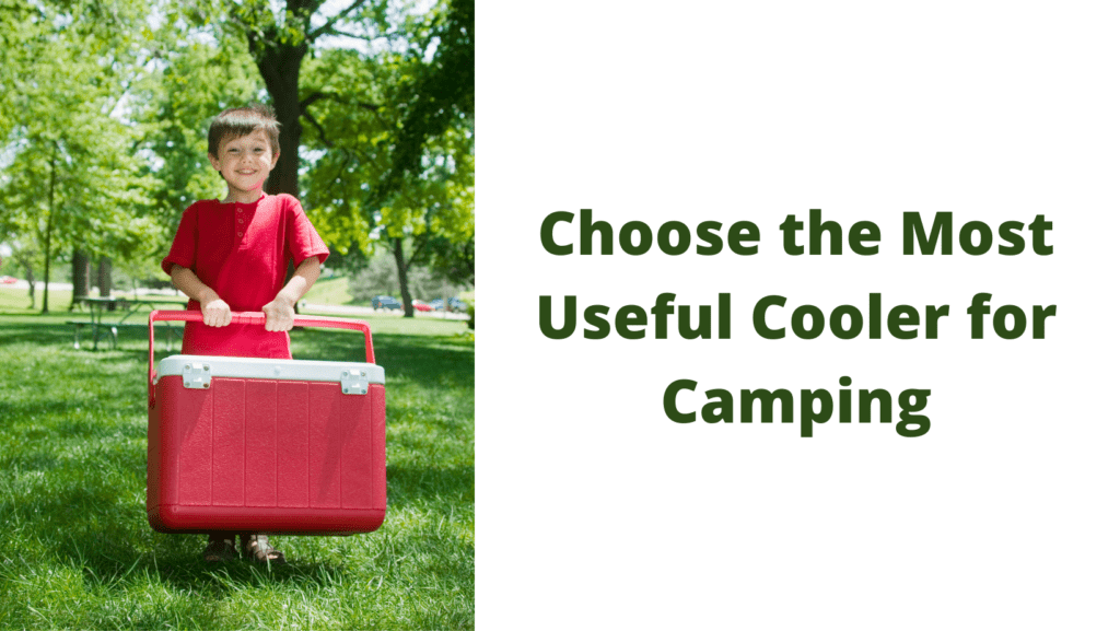 Choose the Most Useful Cooler for Camping
