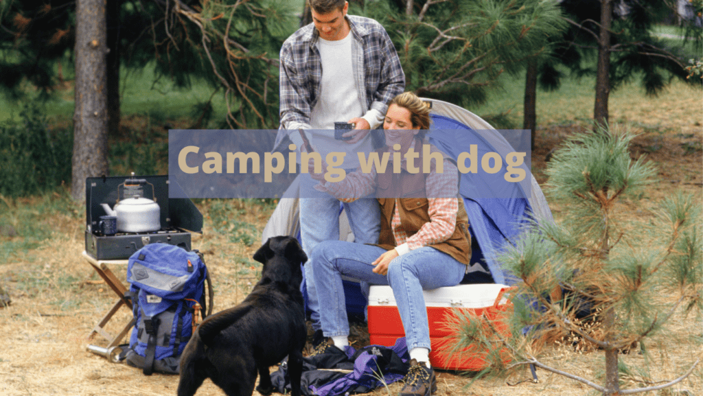 Couple camping with dog - Your Furry Friend