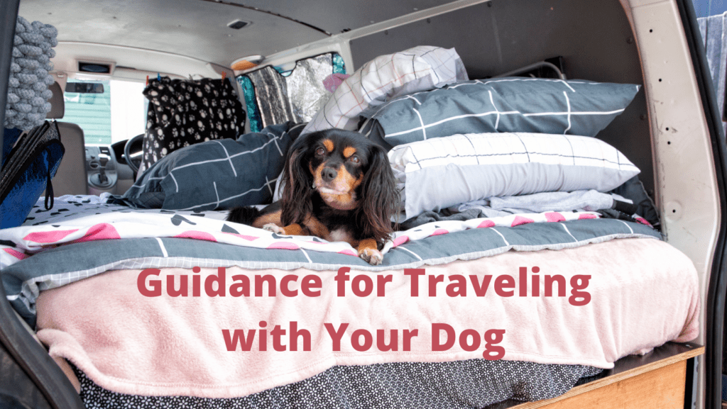 Guidance for Traveling with Your Dog