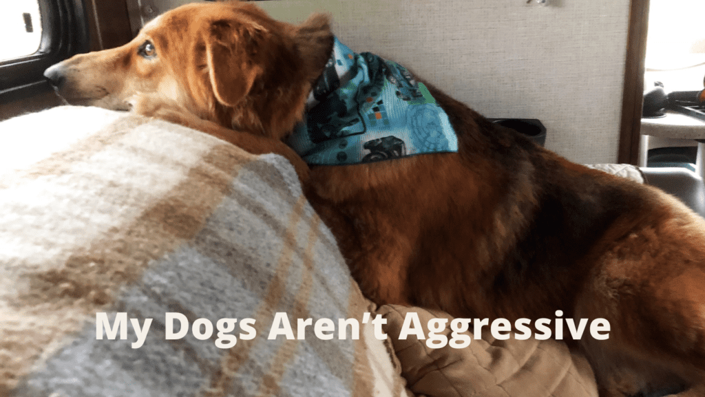 My Dogs Aren’t Aggressive
