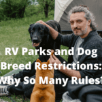 RV-Parks-and-Dog-Breed-Restrictions-Why-So-Many-Rules