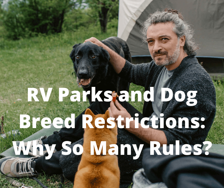 RV Parks and Dog Breed Restrictions Why So Many Rules