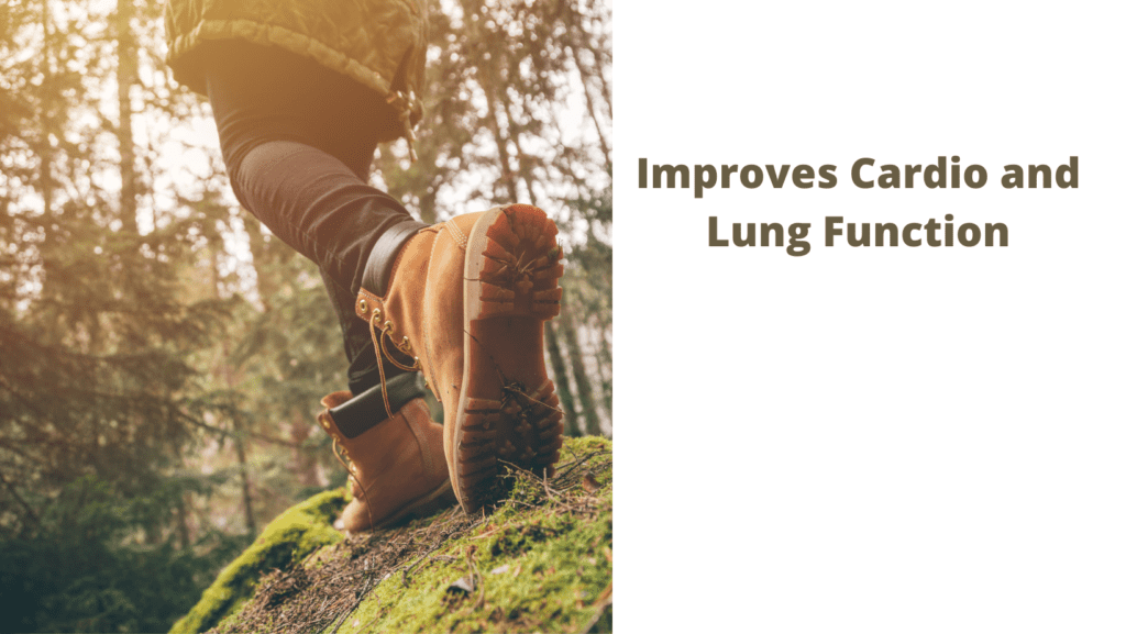 Improves Cardio and Lung Function