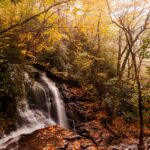Things to Do For Kids in Great Smoky Mountains National Park North Carolina