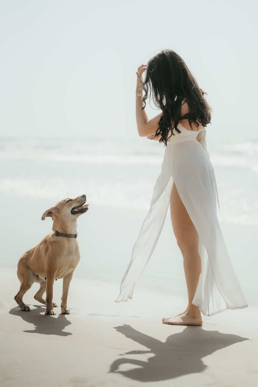 woman in white dress standing in front of brown short coated dog