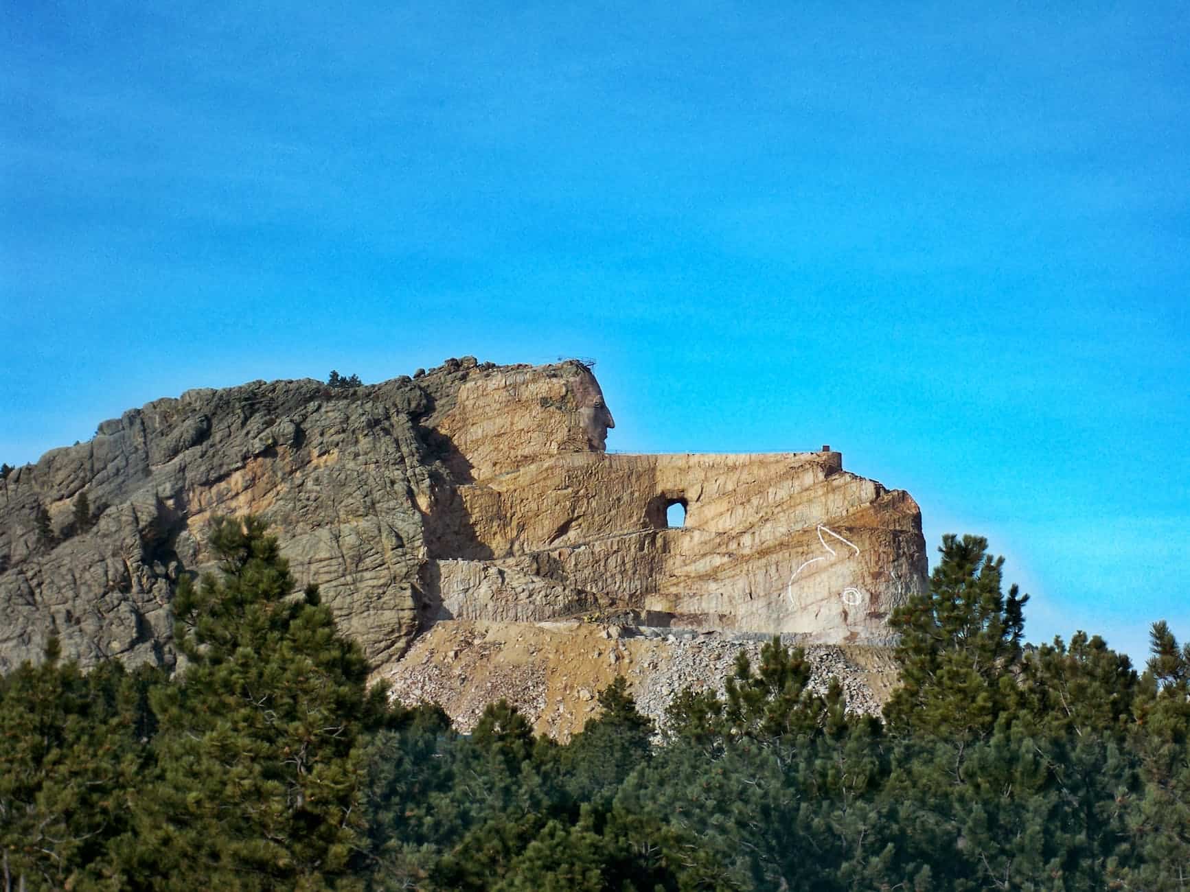 green tree beside beige and grey mountain under clear blue sky at daytime