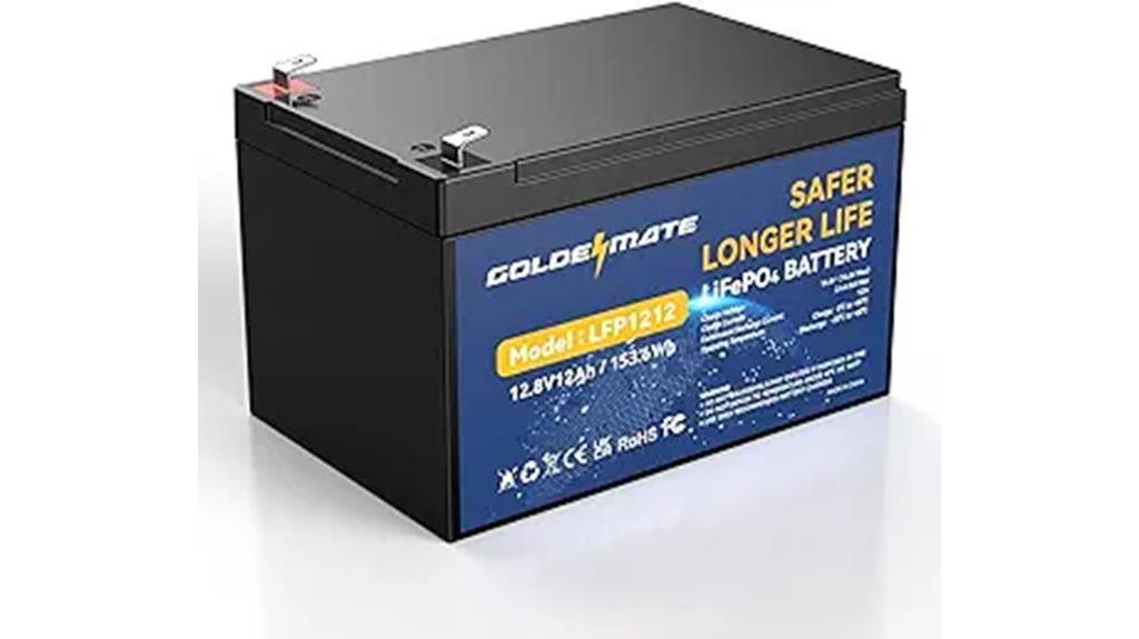 15 Best 12V Batteries for Pop-Up Campers: Power Your Adventures in 2025 16 12v lithium iron phosphate battery