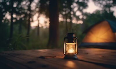 effective camping mosquito repellents