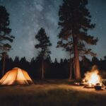 primitive camping in texas