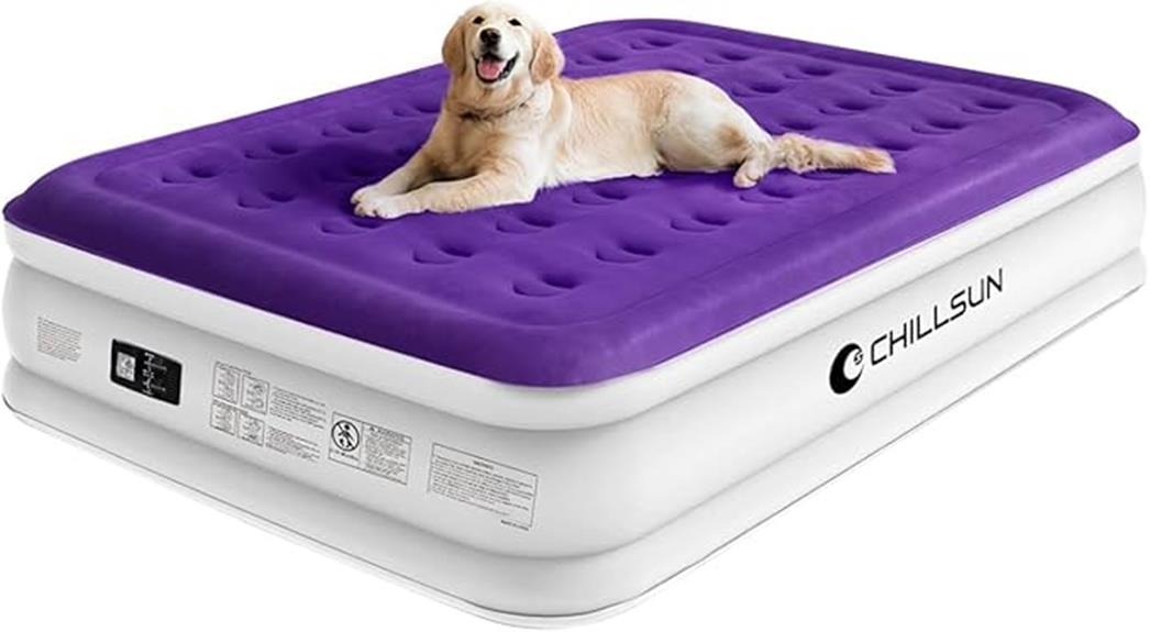 queen air mattress pump