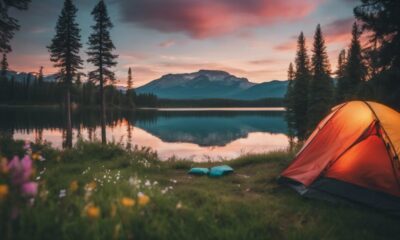 scenic tent camping georgia