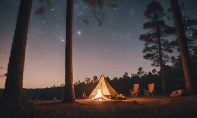 top alabama camping sites