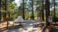 allergy friendly campsite initiatives