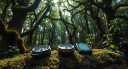 analog navigation triumphs over gps