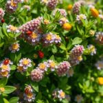 natural chemical free insect defense