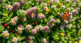 natural chemical free insect defense
