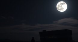 optimize trades using lunar phases