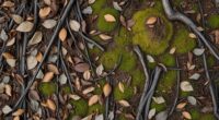 Terrain Texture Tactics: Choosing Ground That Muffles MovementBusiness 2 select terrain to conceal movement