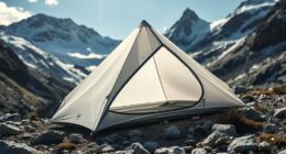 ultralight backpacking tent options