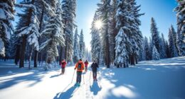 winter outdoor sports activities