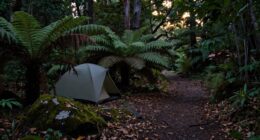 respect quiet camping hours