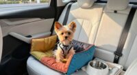 secure dog car travel