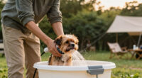 11 Best Portable Pet Wash System For Camping In 2026