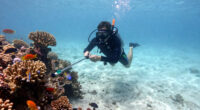 12 Best Underwater Camera for Snorkeling in 2026