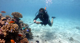 12 Best Underwater Camera for Snorkeling in 2026