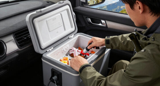 13 Best Portable Freezer for Road Trips 12V in 2026