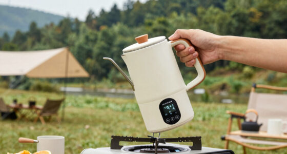 15 Best Electric Kettle With Temperature Control Travel in 2026