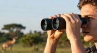 15 Best Field Binoculars Premium 10x42 in 2026