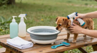 7 Best Portable Dog Wash Station in 2026