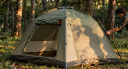 7 Best Screen Tent for Camping Large in 2026