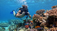 7 Best Underwater Camera for Travel Adventures in 2026