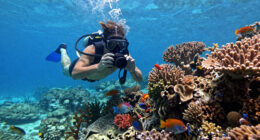 7 Best Underwater Camera for Travel Adventures in 2026