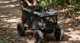 9 Best Best Dog Stroller All Terrain in 2026