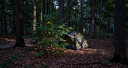 avoiding beginner stealth camping mistakes