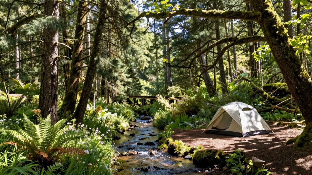 balanced wild camping experience