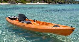 broad appeal beyond anglers