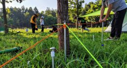 camping gear setup essentials