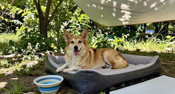 cooling hydration shade comfort