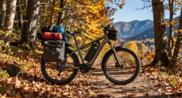 electric cargo bikes usefulness