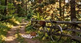 journey nature memories harmony