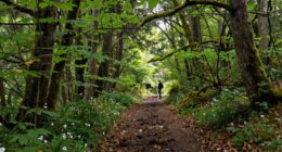 meaningful nature travel experiences